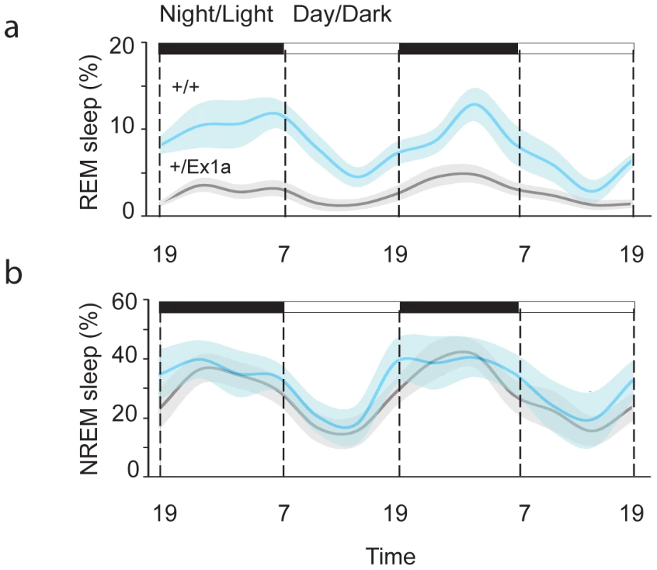 Sleep architecture in Exon 1A mice.