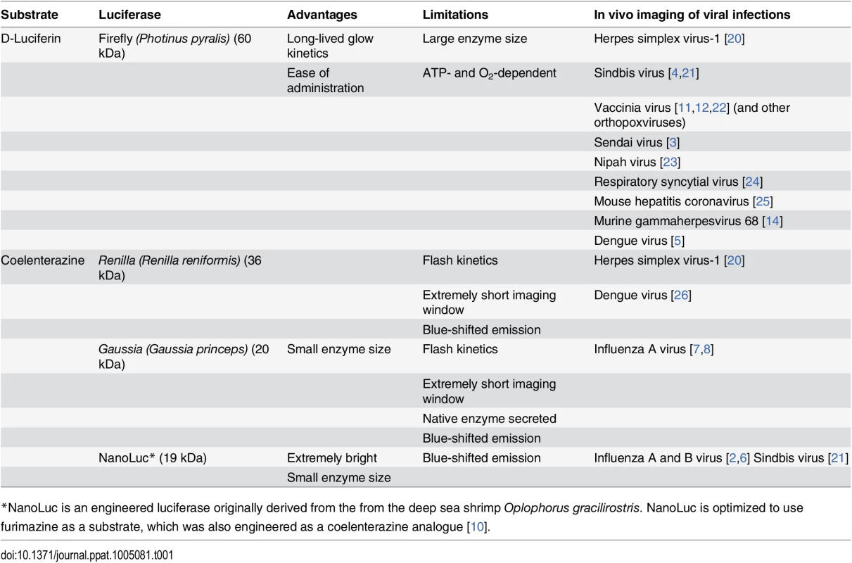 Reporters used for in vivo BLI of viral infections in mammals.
