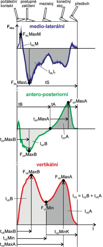 Grafické znázornění měřených parametrů (upraveno podle Vaverka a Elfmark [37]) 
Legenda: F<sub>REA</sub> – reakční síla podložky; ML – medio-laterální složka; AP – antero-posteriorní složka; VE – vertikální složka; Časové parametry: tS – čas stojné fáze; tB/tA – čas brzdící/akcelerační fáze; t<sub>AP</sub>MaxB – čas maximální síly v brzdící fázi; t<sub>AP</sub>MaxA – čas od počátku akcelerační fáze do okamžiku maximální síly v akcelerační fázi; t<sub>VE</sub>MaxB/t<sub>VE</sub>MaxA – čas dosažení maximální síly v brzdící/akcelerační fázi; t<sub>VE</sub>Min – čas minima síly v mezistoji a konečném stoji; t<sub>VE</sub>MinK – čas od lokálního minima síly do konce stojné fáze; Reakční síla a impulsy síly: F<sub>ML</sub>MaxM/F<sub>ML</sub>MaxL – maximální síla mediální/laterální; F<sub>AP</sub>MaxB/F<sub>AP</sub>MaxA, F<sub>VE</sub>MaxB/F<sub>VE</sub>MaxA – maximální síla v brzdící/akcelerační fázi v AP a VE; F<sub>VE</sub>Min – minimum síly v mezistoji a konečném stoji; I<sub>ML</sub>M/I<sub>ML</sub>L – silový impuls mediální/laterální; I<sub>AP</sub>B/I<sub>AP</sub>A, I<sub>VE</sub>B/I<sub>VE</sub>A – silový impuls v brzdící/ akcelerační fázi v AP a VE; IVE – celkový silový impuls.
