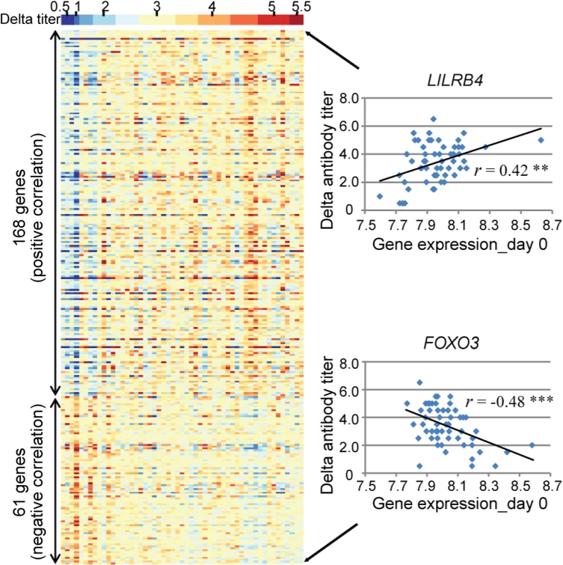 A total of 229 genes showed evidence of significant correlation between gene expression and the antibody response.
