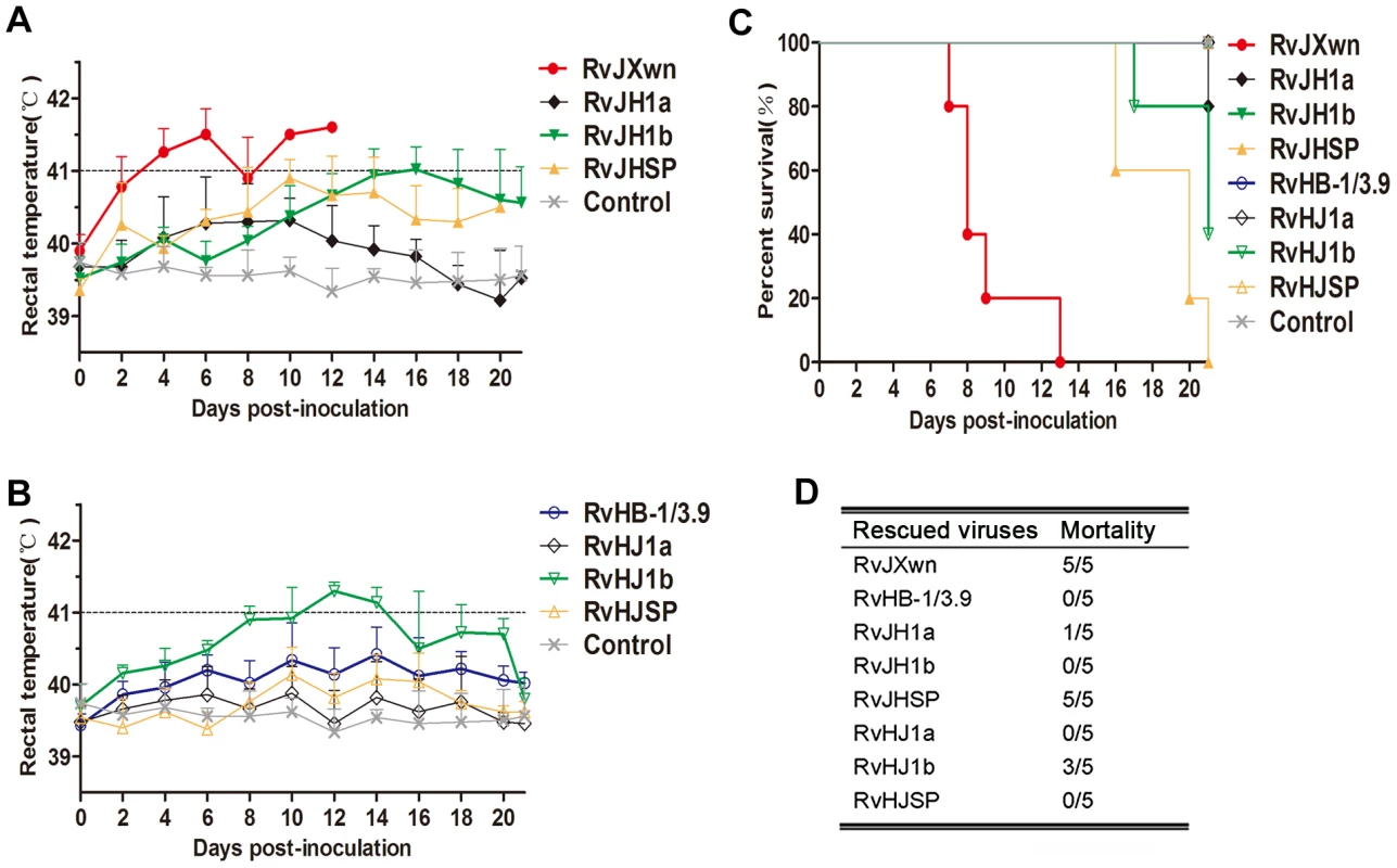 The rectal temperatures and the mortality of piglets inoculated with the rescued virus with the exchanged coding regions.