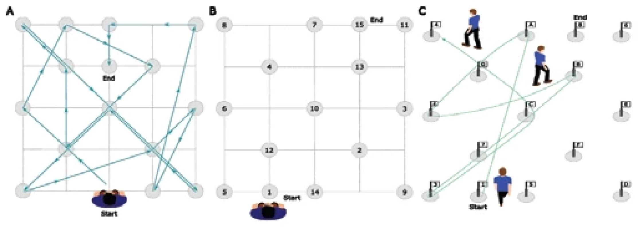 Layouts of the TWT-1 (A), TWT-2 (B) and TWT-3 (C) used in the study. Adopted from [23].