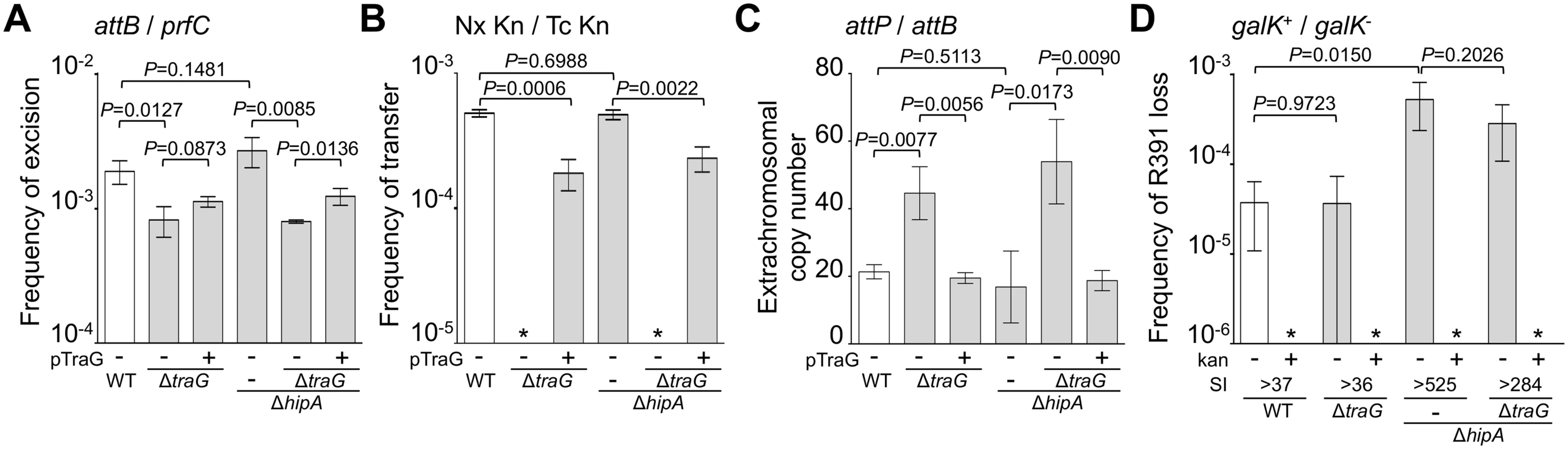 Effects of the deletion of <i>hipA</i> or abolition of conjugative transfer (Δ<i>traG</i>) on R391 dynamics.