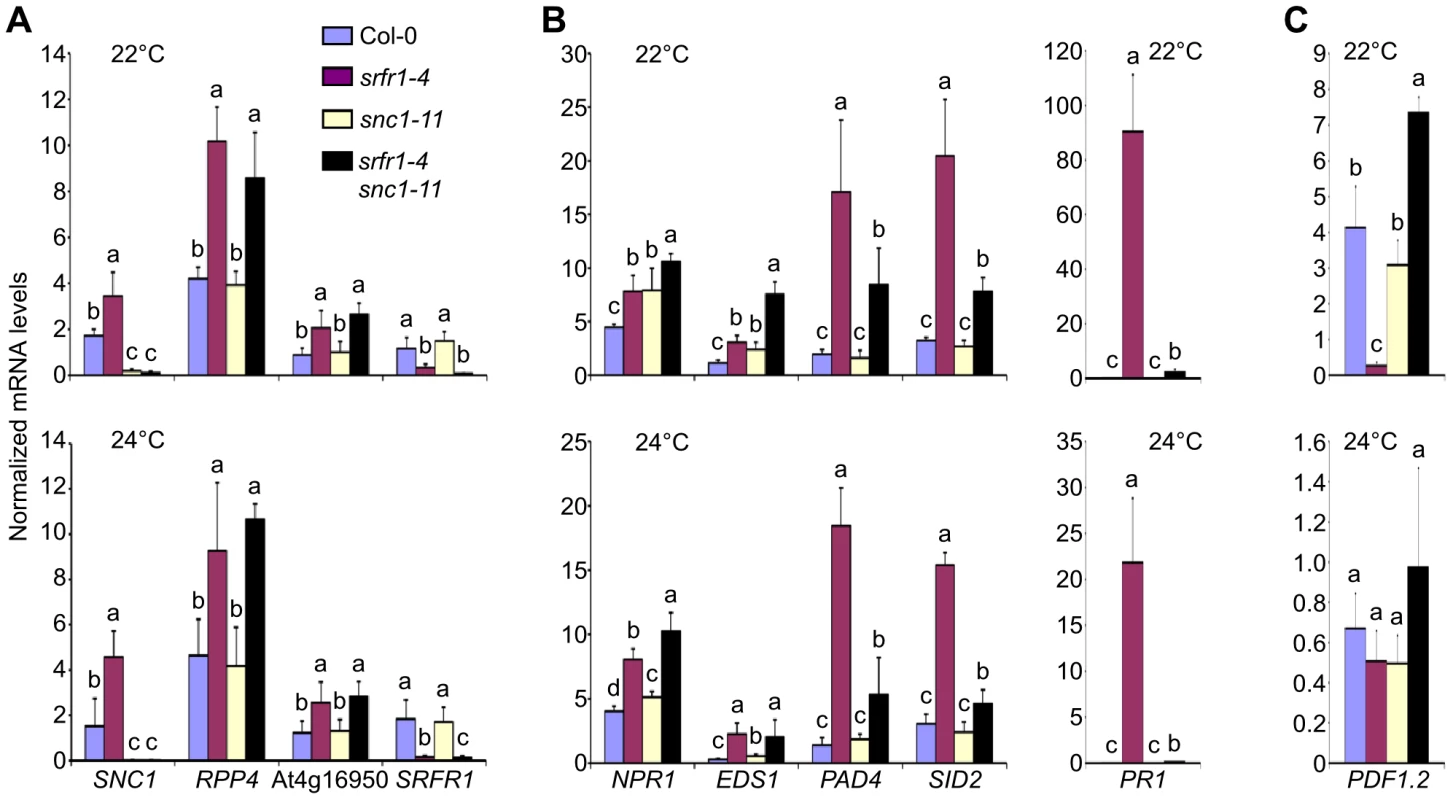 Transcript levels of defense-related genes are altered in <i>srfr1-4</i> and <i>srfr1-4 snc1-11</i>.