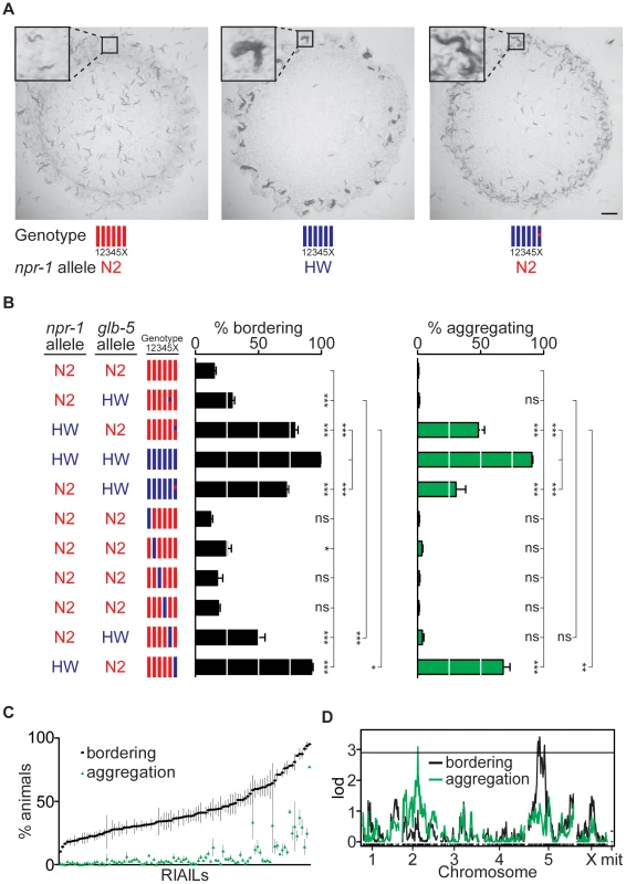 Identification of QTLs for social behavior.
