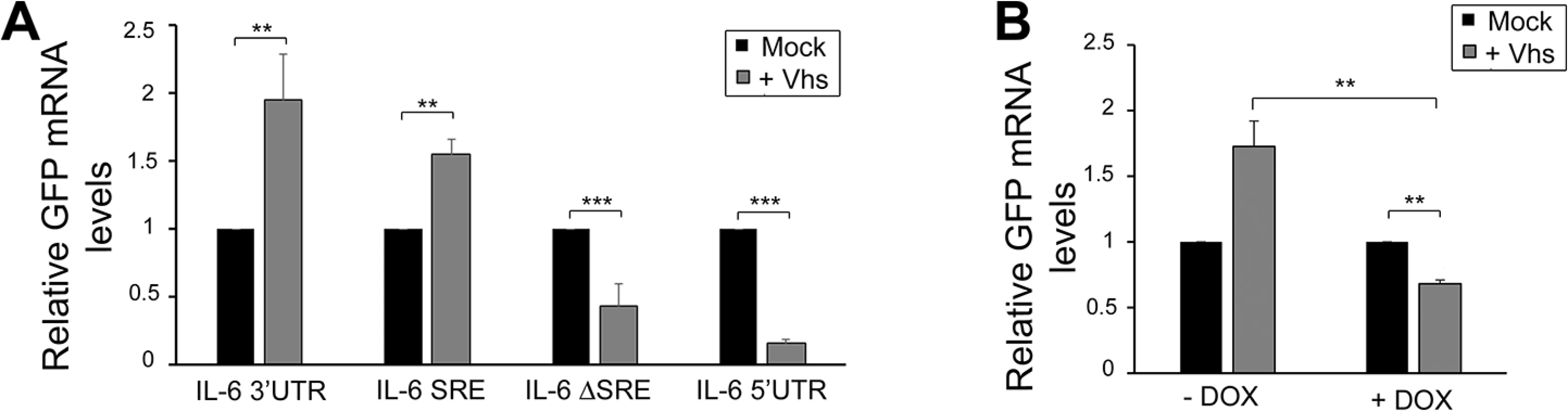 SRE-mediated protection mechanism expands beyond SOX induced decay.