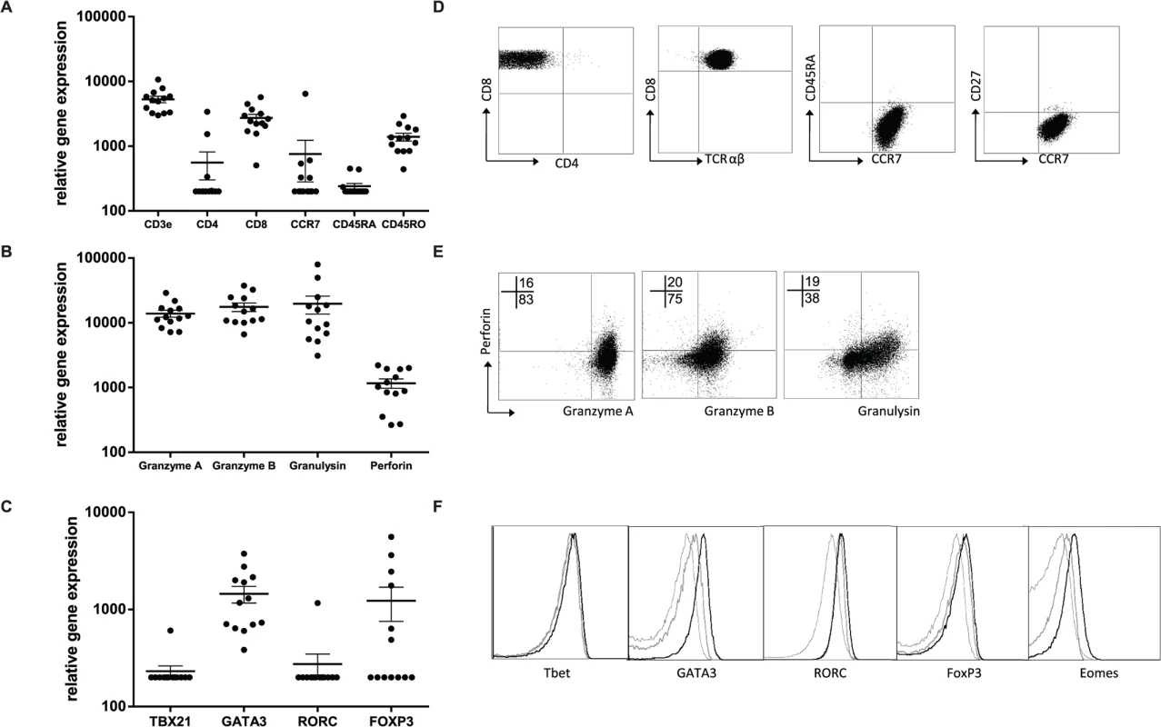 Peptide specific HLA-E restricted CD8<sup>+</sup> T-cell clones have an effector memory phenotype.