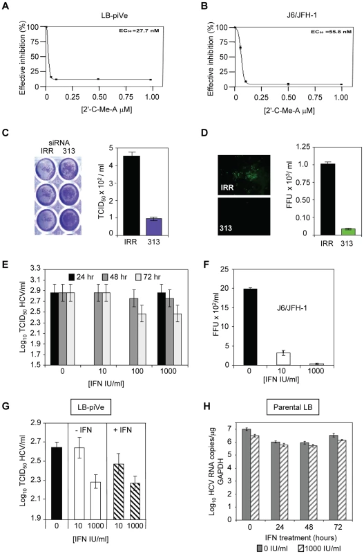 Inhibition of HCV by antivirals.