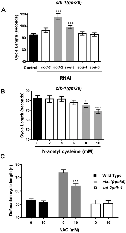 <i>clk-1</i> mutants are sensitive to alterations in ROS metabolism.