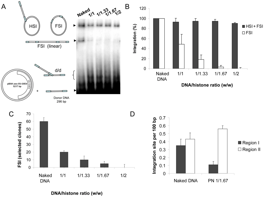Effect of nucleosome assembly on <i>in vitro</i> HIV-1 integration.