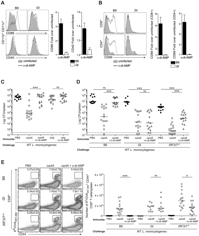 Administration of c-di-AMP during immunization inhibits CD8<sup>+</sup> T cell expansion and protective immunity upon <i>L. monocytogenes</i> reinfection.