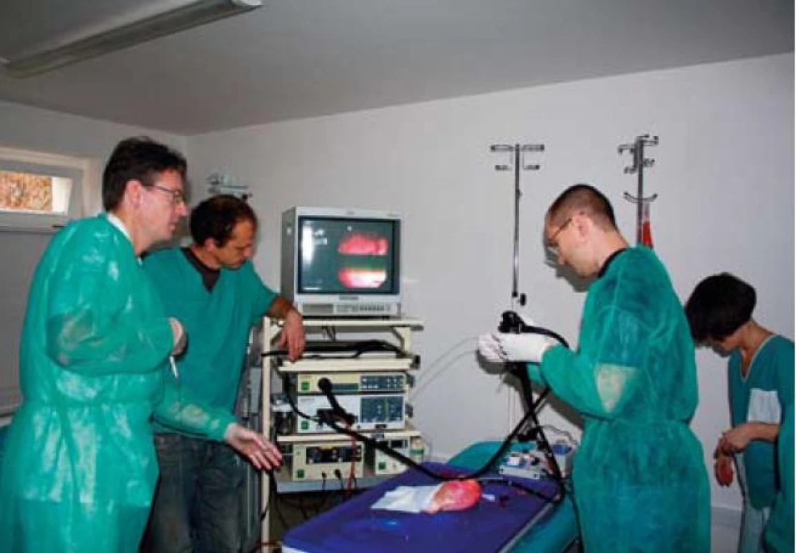 Kurz endoskopické hemostázy. Patrné infusní sety, kterými proudí červená tekutina do žaludku za pomoci rotačních pump. Na monitoru obraz krvácení.
Fig. 2. Endoscopic hemostasis training course. Evident infusion sets via which red liquid flows into the stomach using rotary pumps. Bleeding image on the monitor.