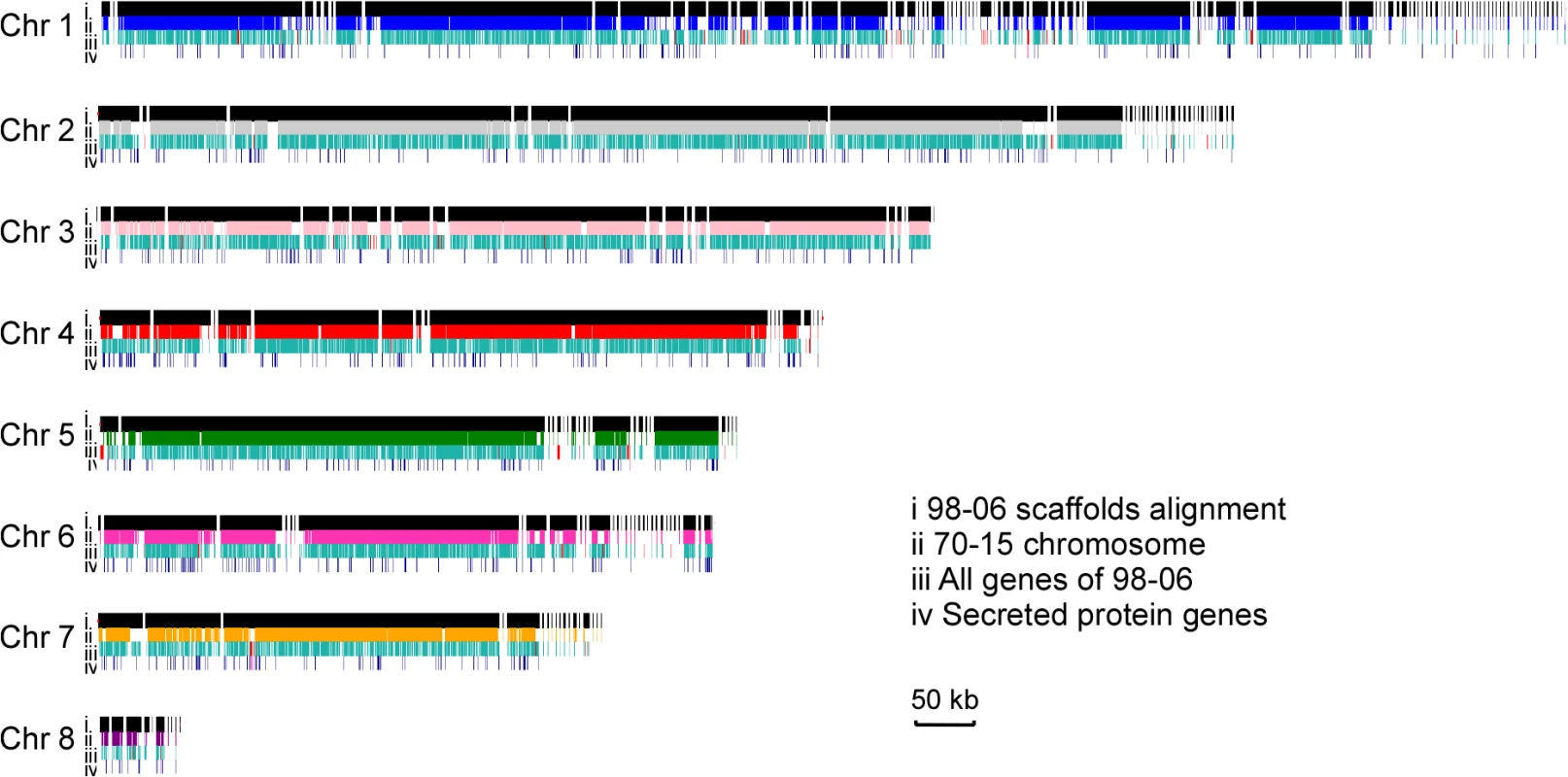 Global view of synteny alignments between isolates 98–06 and 70–15.