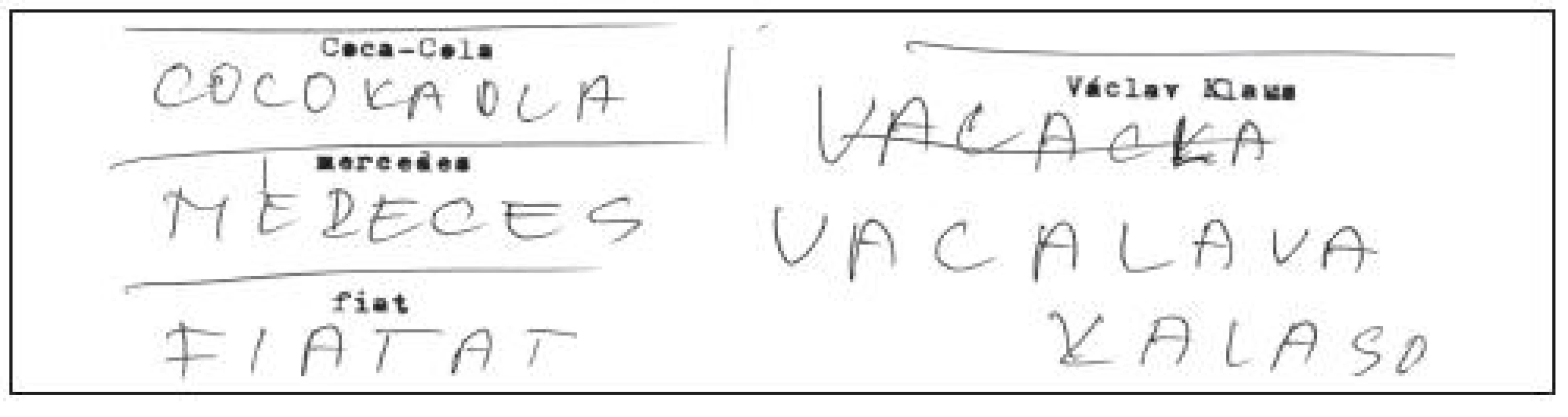 Opisování slov u pacienta s primární progresivní afázií (z archivu autorky).