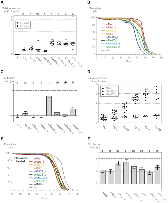 <i>Wolbachia</i> densities and <i>Drosophila</i> longevity are variant dependent.