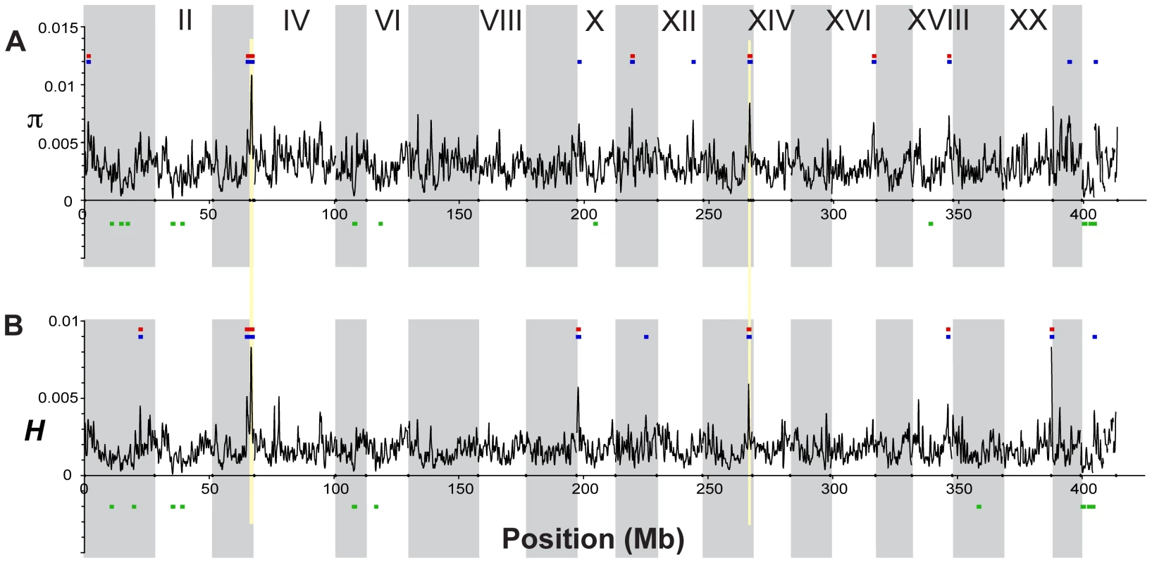 Genome-wide patterns of nucleotide diversity.