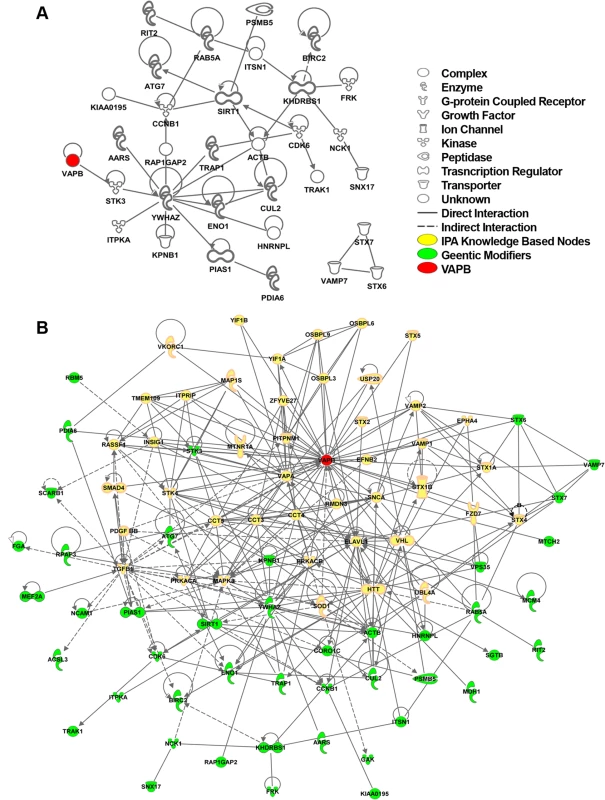 hVAPB human interactome.