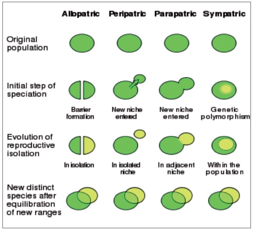 Schéma speciace (Wikipedie, 2010)
Legenda:
Allopatric – alopatrická;
Peripatric – peripatrická;
Parapatric – parapatrická;
Sympatric – sympatrická;
Original population – Původní populace;
Initial step of speciation – Počáteční krok speciace;
Evolution of reproductive isolation – Vývoj reprodukční izolace;
Barrier formation – Vznik bariéry;
New niche entered – Vstup do nové niky;
Genetic polymorphism – Genetický polymorfismus;
In isolation – V izolaci;
In isolated niche – V izolované nice;
In adjacent niche – V sousední nice;
Within the population – Uvnitř populace;