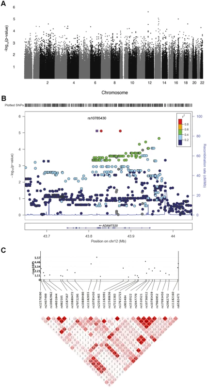 Genetic association results for CL/P in Guatemalans.