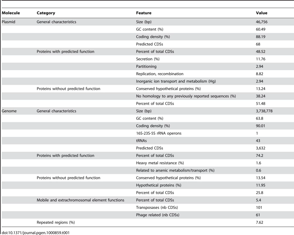 General genome and plasmid features.