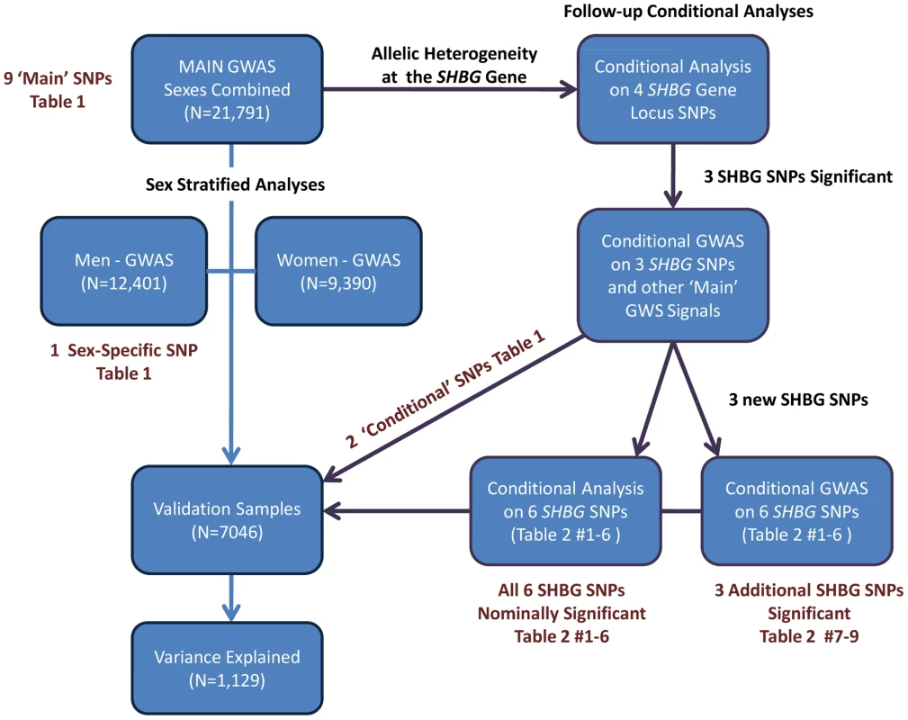 Summary of the analytic plan.
