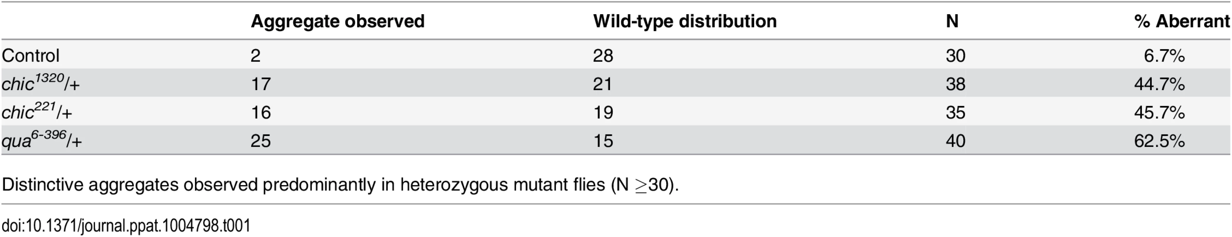 <i>Wolbachia</i> aggregates within the germarium of <i>Drosophila melanogaster</i>.