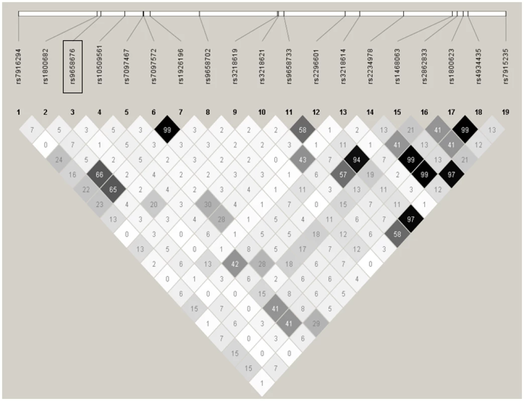 LD structure at the <i>FAS</i> gene locus.