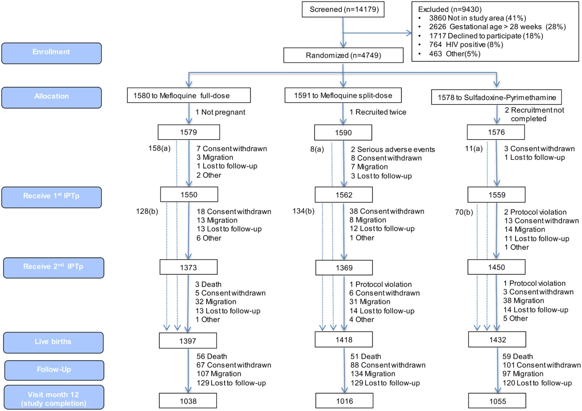 Trial profile (modified intention-to-treat cohort).