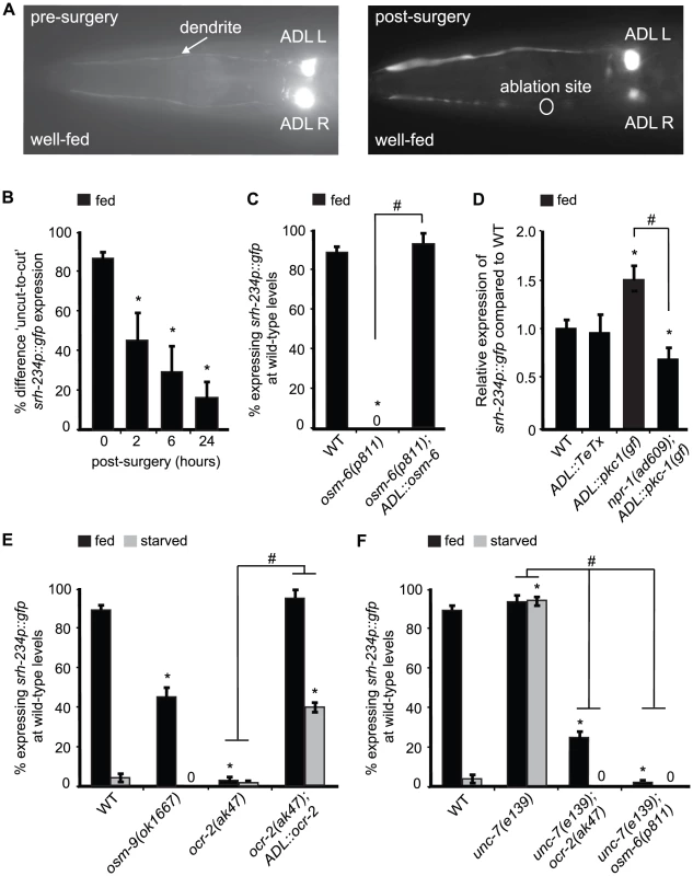 Expression levels of <i>srh-234</i> are modulated by sensory inputs into ADL, neural outputs from ADL and OCR-2 activity.