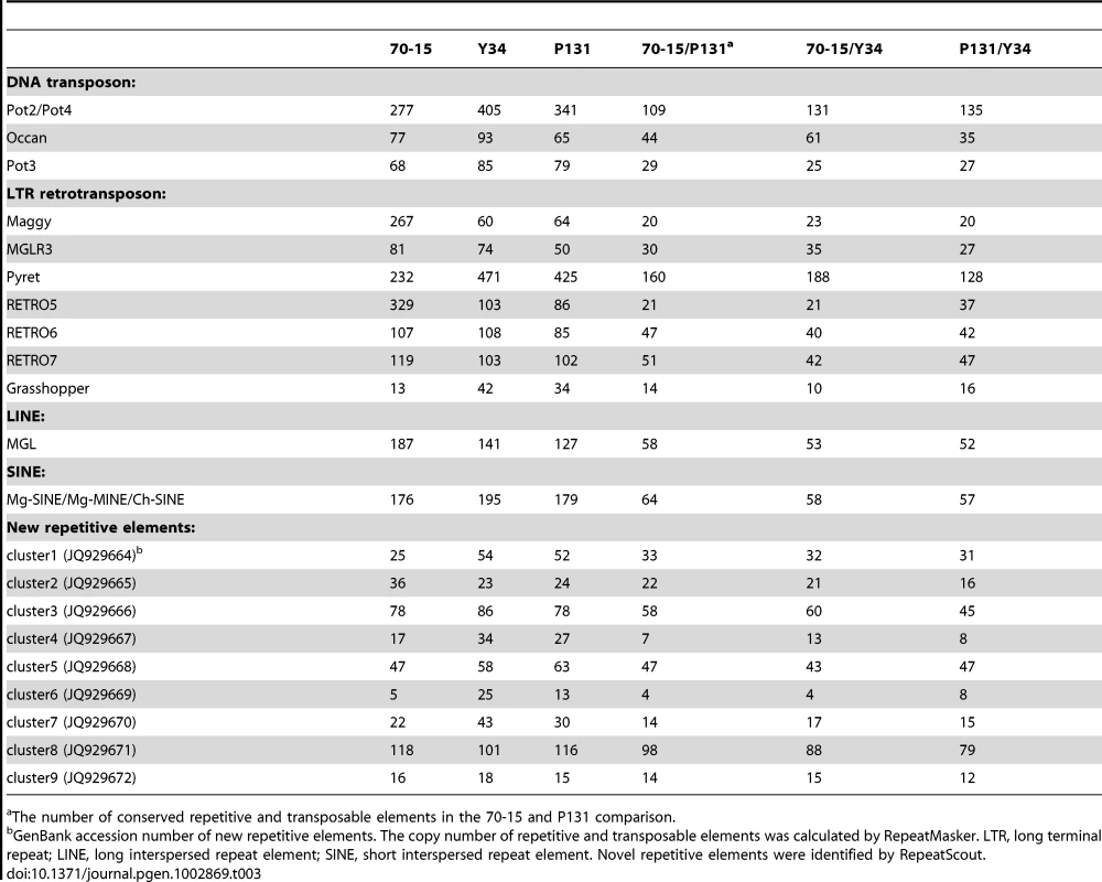 Repetitive and transposable elements identified in isolates P131, Y34, and 70-15.