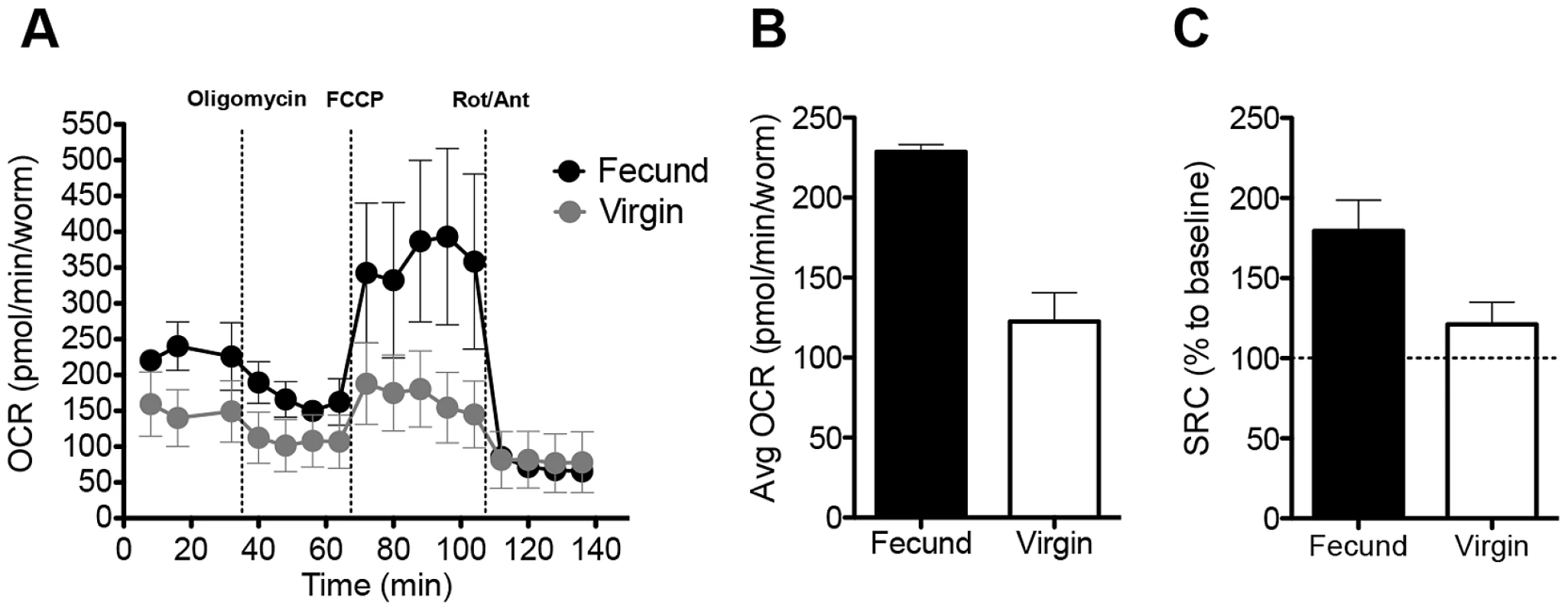 Fecund female schistosomes have high mitochondrial OCR.
