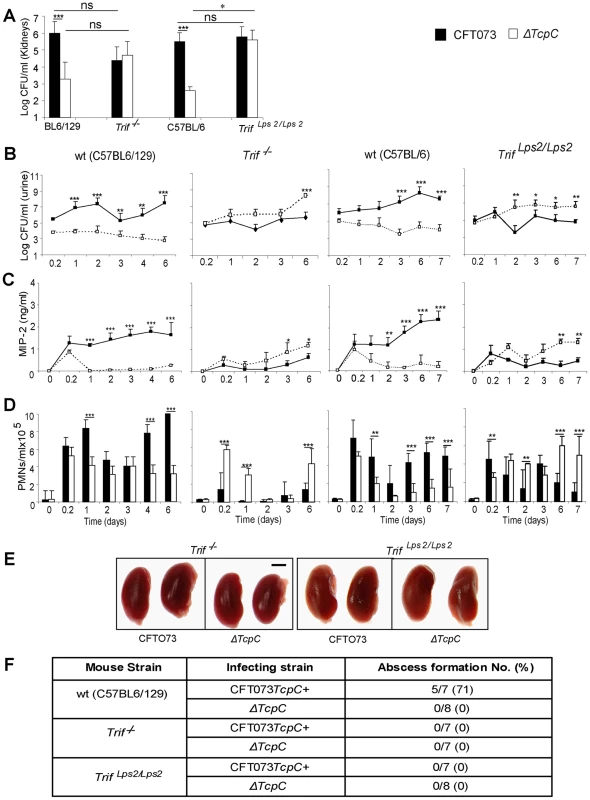 Effects of TcpC virulence in <i>Trif</i><i> <sup>−/−</sup> and </i><i>Trif <sup>Lps2/Lps2</sup></i> mice infected with CFT073 or <i>ΔTcpC</i>.
