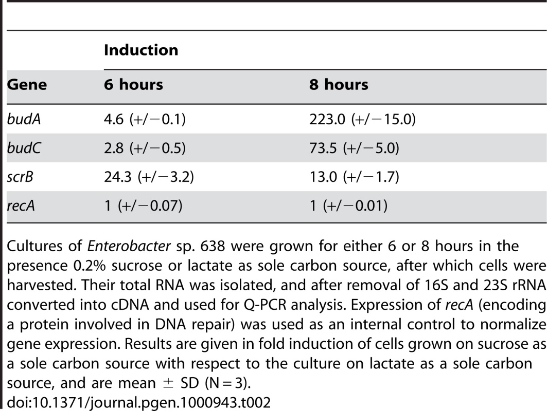 Transcription analysis of genes involved in sucrose metabolism, acetoin, and 2,3-butanediol synthesis in <i>Enterobacter</i> sp. 638 when grown in the presence of sucrose or lactate as carbon source.