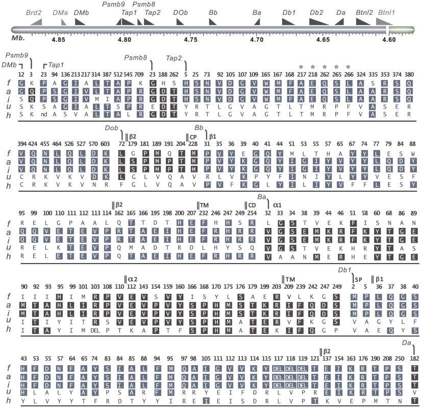 Coding variants in <i>T cell selection QTL 2</i> (<i>Tcs2</i>).