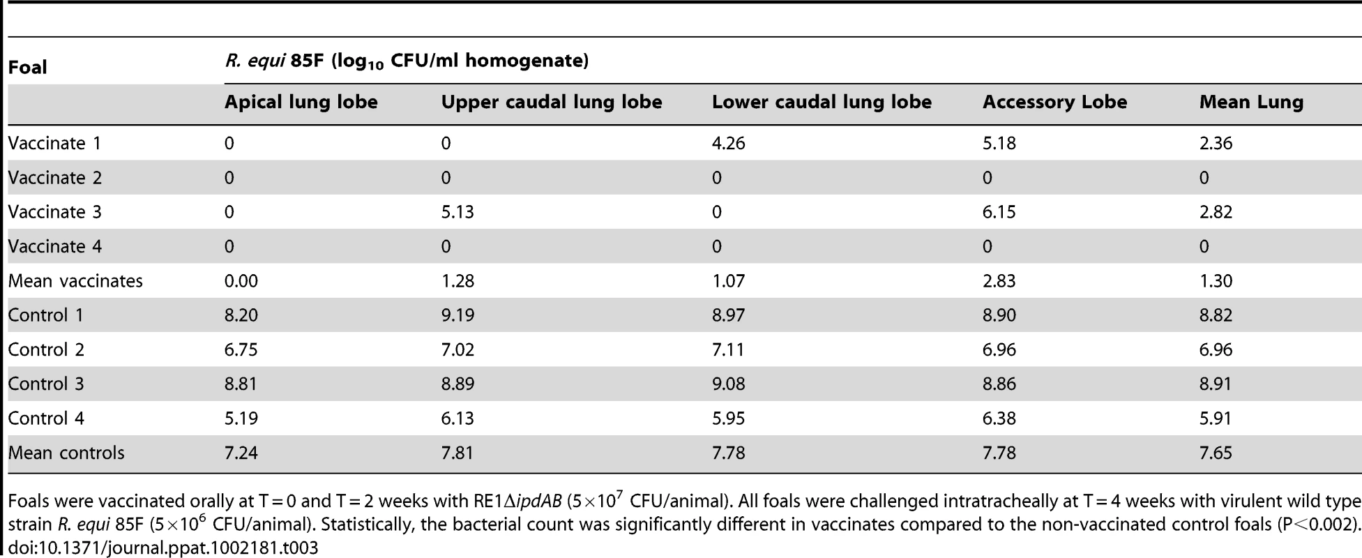 Quantitative re-isolation of <i>R. equi</i> 85F from lung lobes of vaccinated and unvaccinated (control) 2 to 4-week-old foals (n = 4).