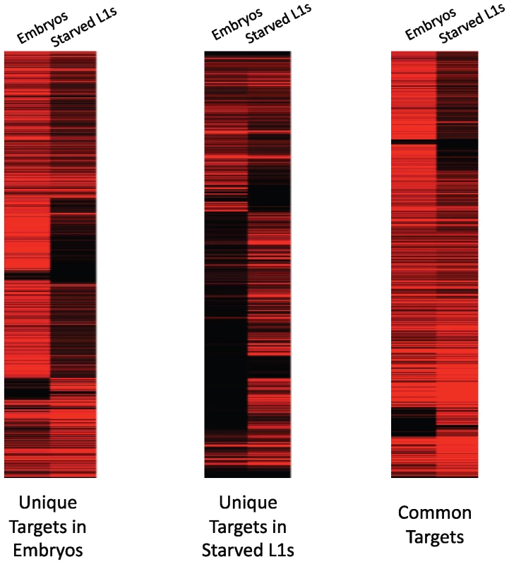 PHA-4 binding correlates with gene expression levels.
