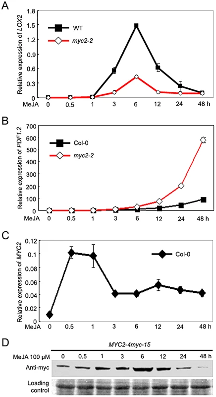 Temporal Correlation of JA-Induced Expression of <i>LOX2</i> and <i>PDF1.2</i> with JA-Induced Accumulation of the MYC2 Protein.