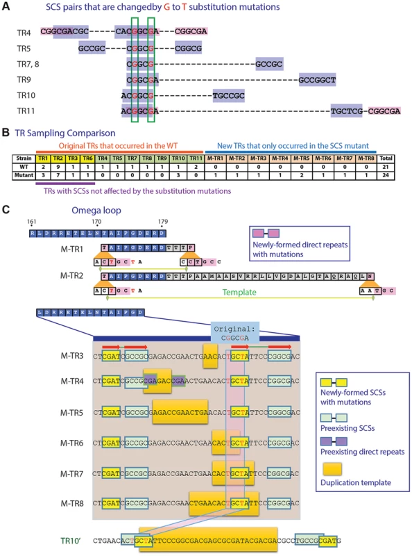 Mutation study with an SCS element.