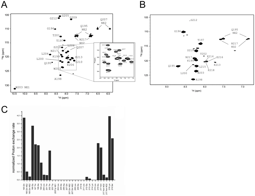Water accessibility measurements of E<sup>rns</sup>ΔNΔC.