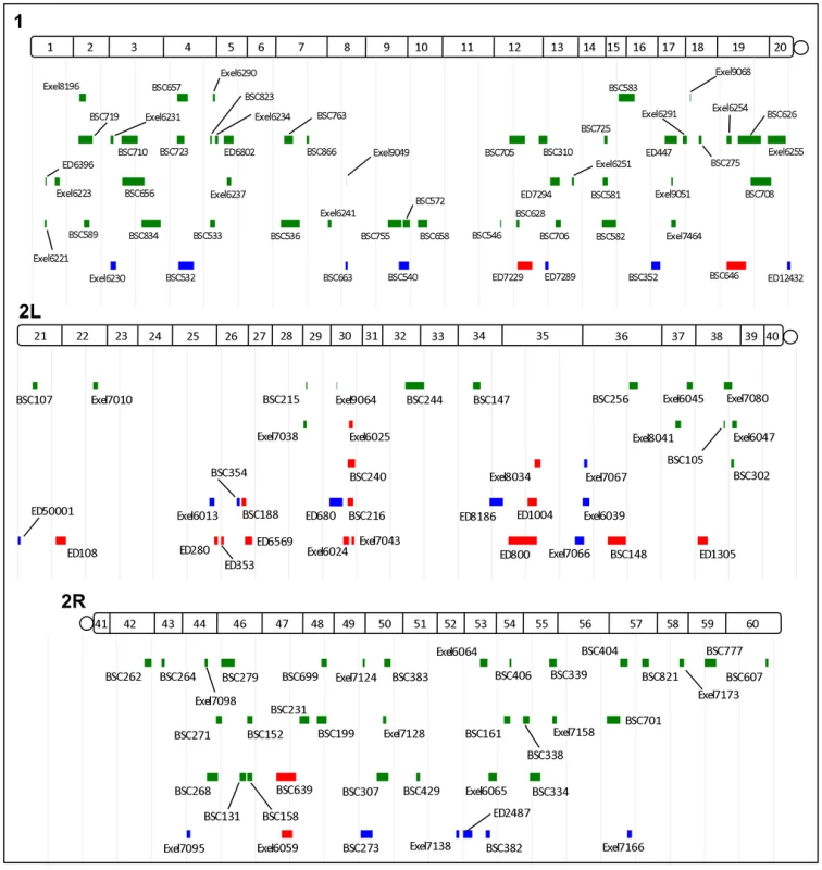 Cytogenetic locations of <i>dNf1</i> modifying deficiencies.