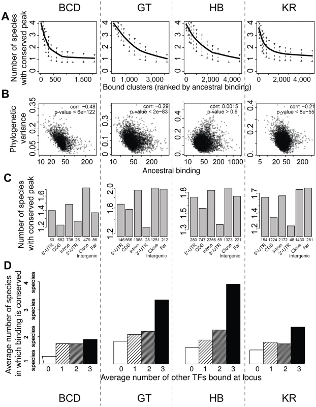BCD, GT, HB and KR binding events are differentially conserved, and binding predicted to be functional is better conserved.