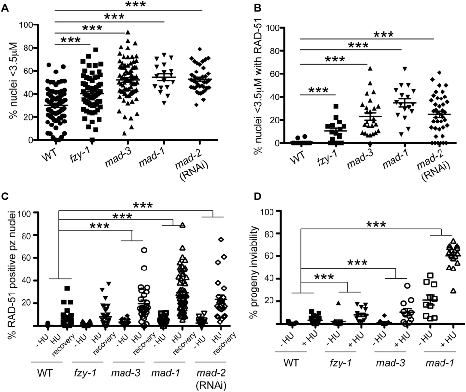 SAC components function in part by delaying metaphase in the presence of DNA damage.