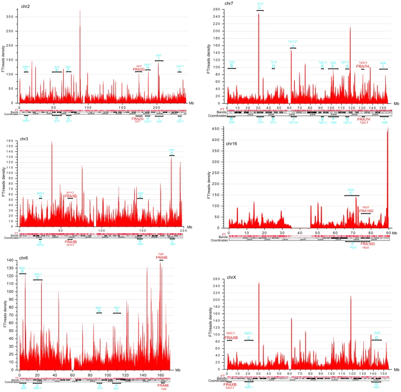 FT density across chromosomes 2, 3, 6, 7, 16, and X, which possess the frequently and less frequently observed CFS in leukocytes.