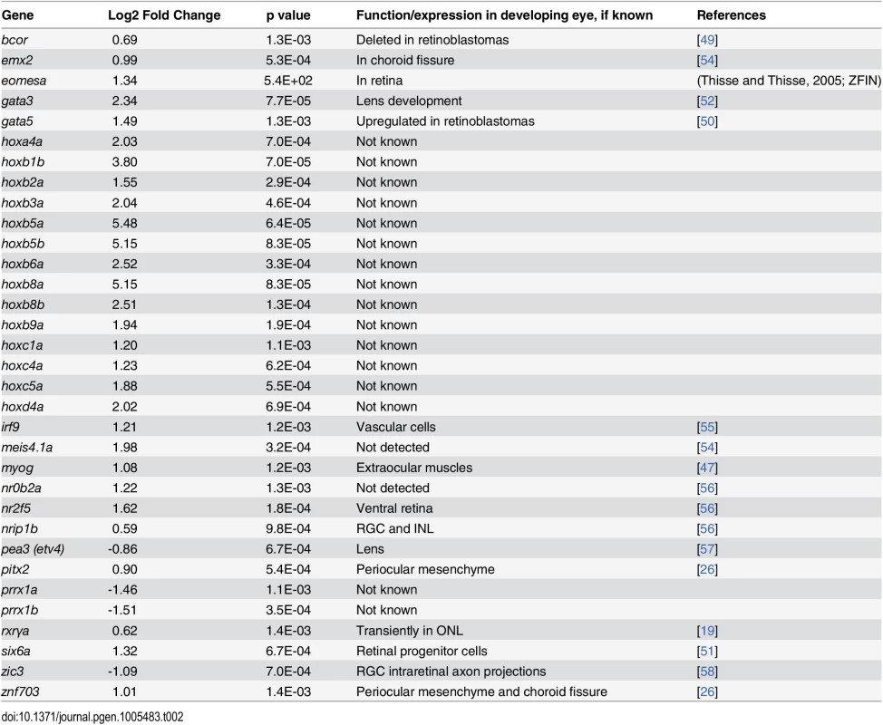 Differential expression of genes encoding transcription factors in eyes of embryonic zebrafish treated with RA.