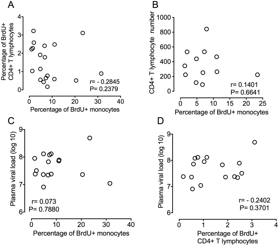 Percentage of BrdU+ monocytes does not correlate with plasma virus or CD4+ T lymphocyte turnover or numbers.