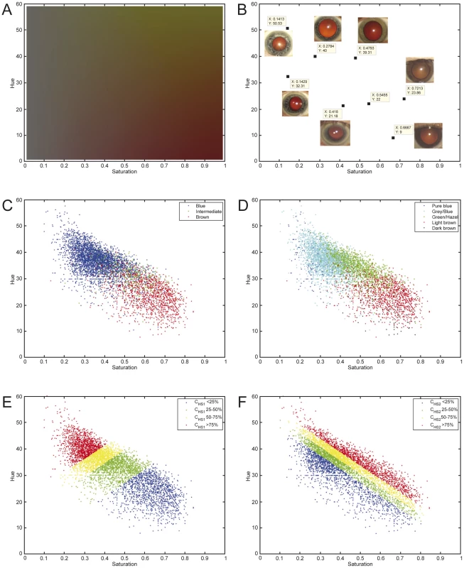 The Hue-Saturation (H-S) eye color space in the Rotterdam Study (RS123).