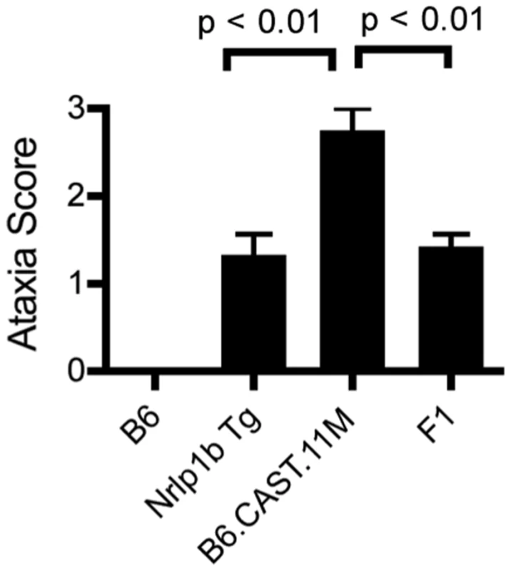 Severity of LT-induced ERP is controlled by a gene(s) on chromosome 11.