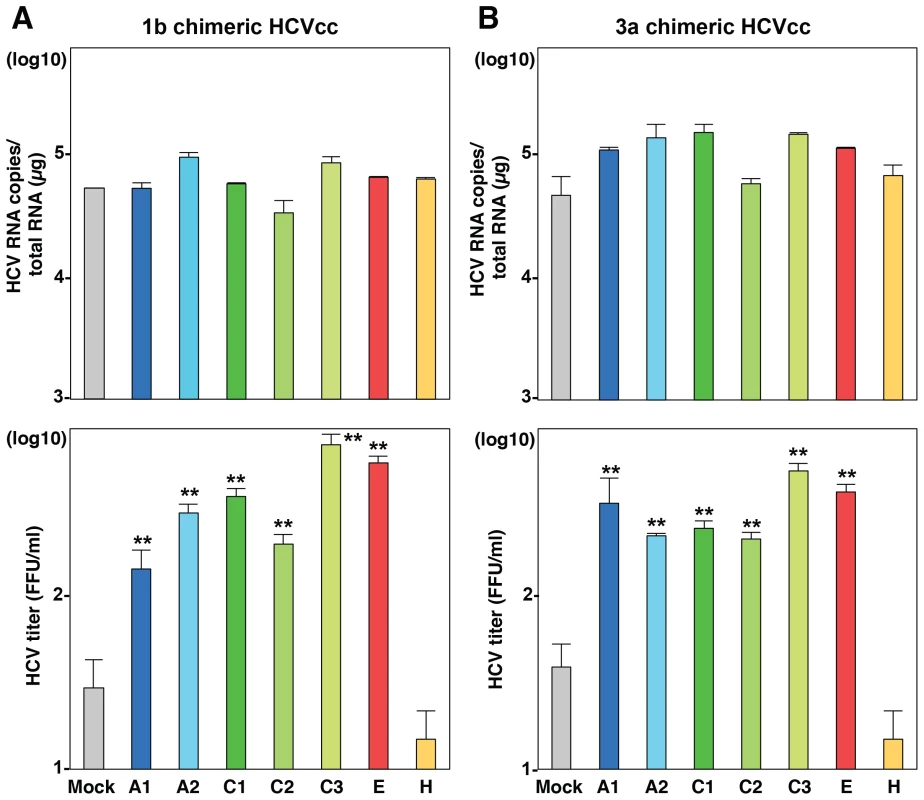 Exchangeable apolipoproteins participate in the formation of infectious HCV particles of genotype 1 and 3.