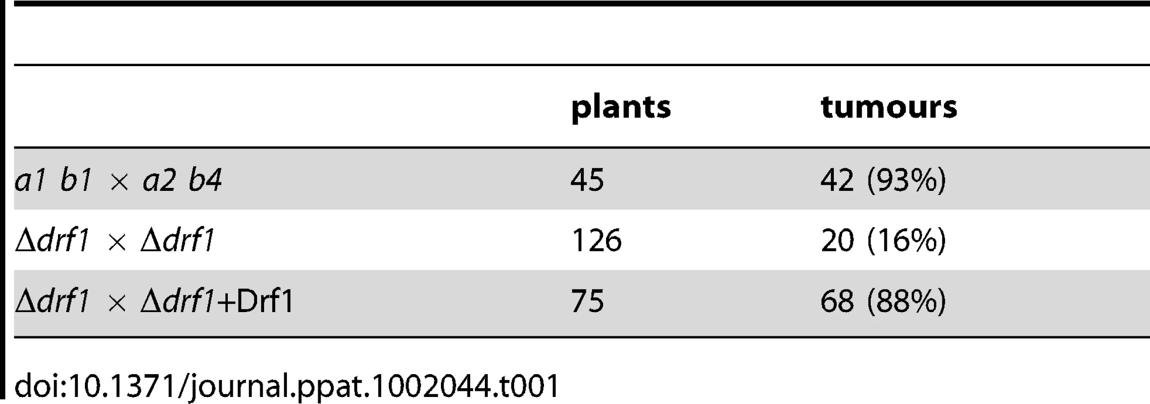 Pathogenicity assay.