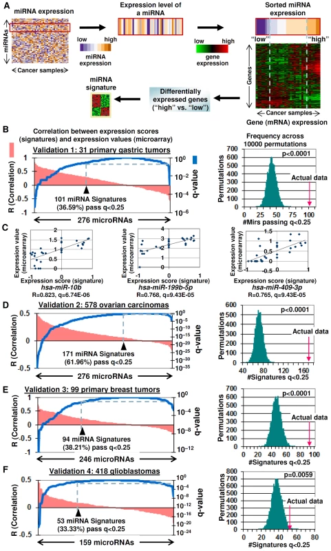Gene expression signatures as surrogates of miRNA expression.